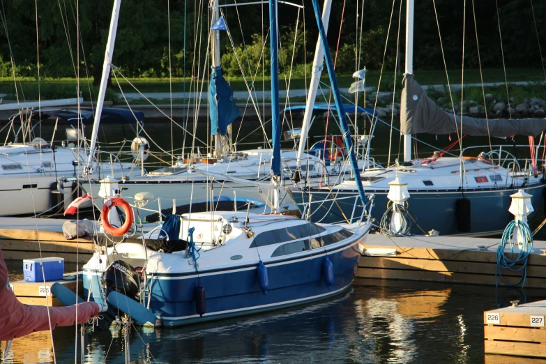 several white sailboats docked at pier in marina