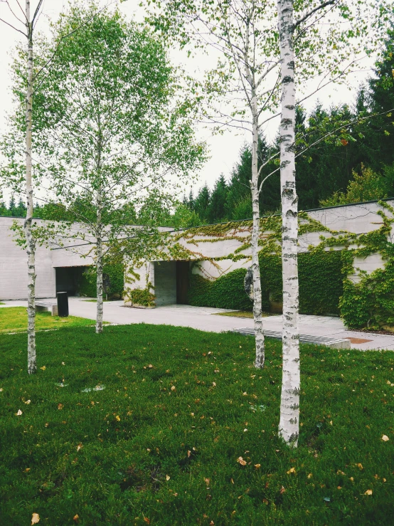 some trees and buildings on some grass and bushes