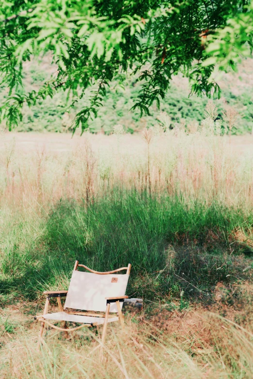 an old chair in a field surrounded by tall grass