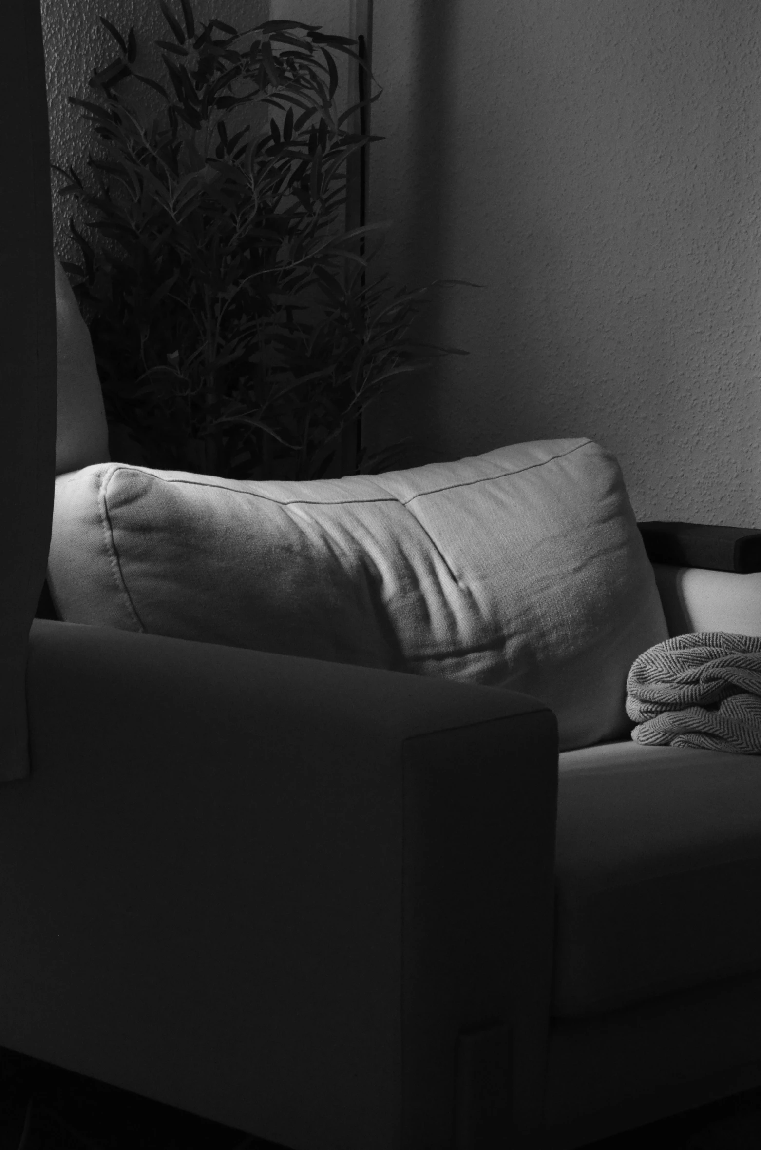 a light is shining on a small chair next to a plant