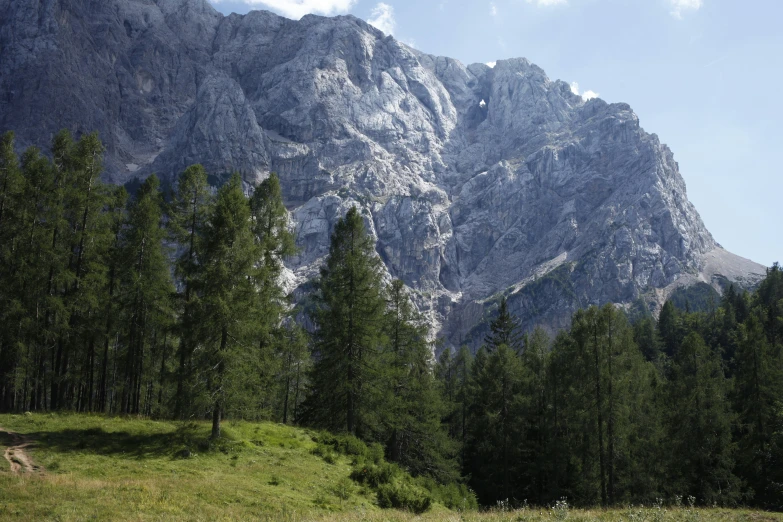 a couple of horses are walking through the grass in front of some mountains