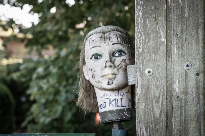 a weird looking face on a pole near a wooden fence