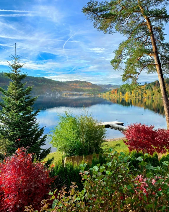 a landscape s of a tree covered hill surrounding a lake