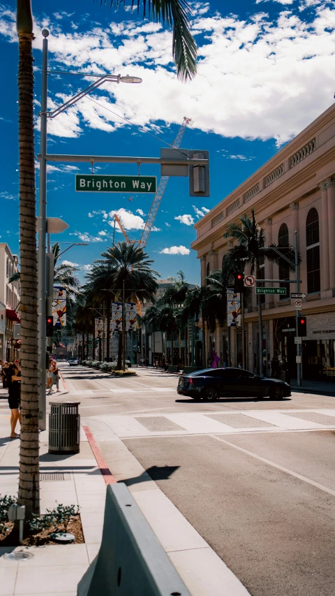 cars are driving on a street with palm trees