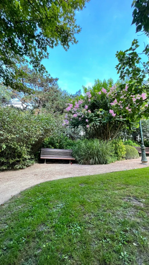 the park bench is by itself on the grass