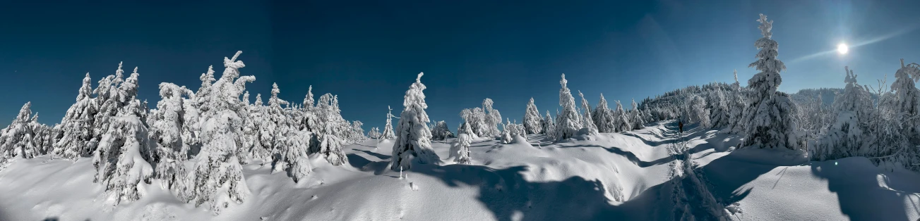 sun shines down onto a snow covered mountain with trees