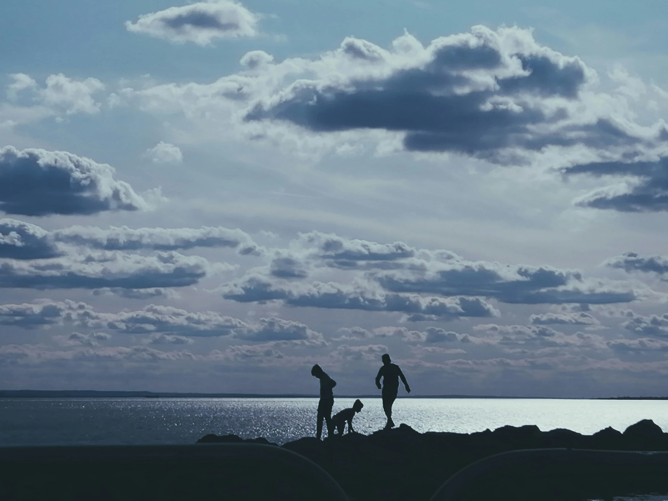 two people stand on a rock with a dog looking out over the water