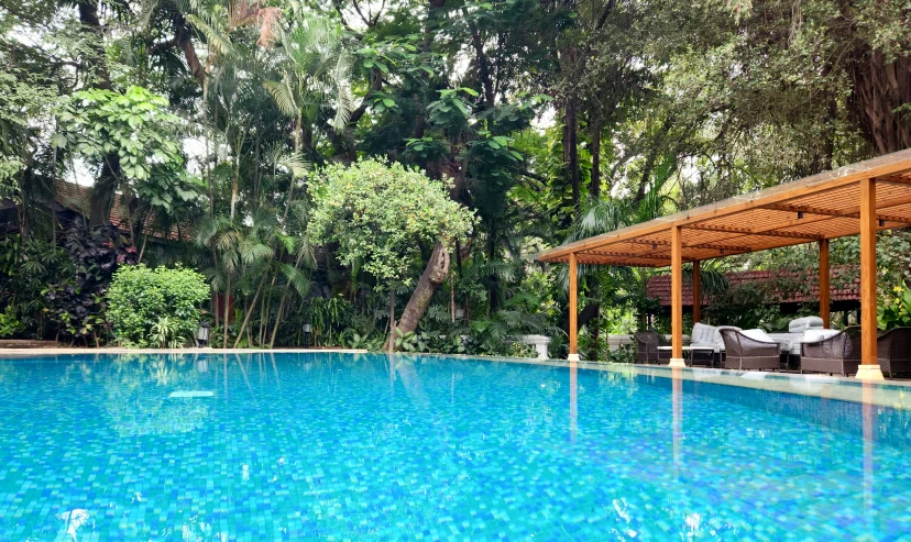 a nice pool near a tropical outdoor setting