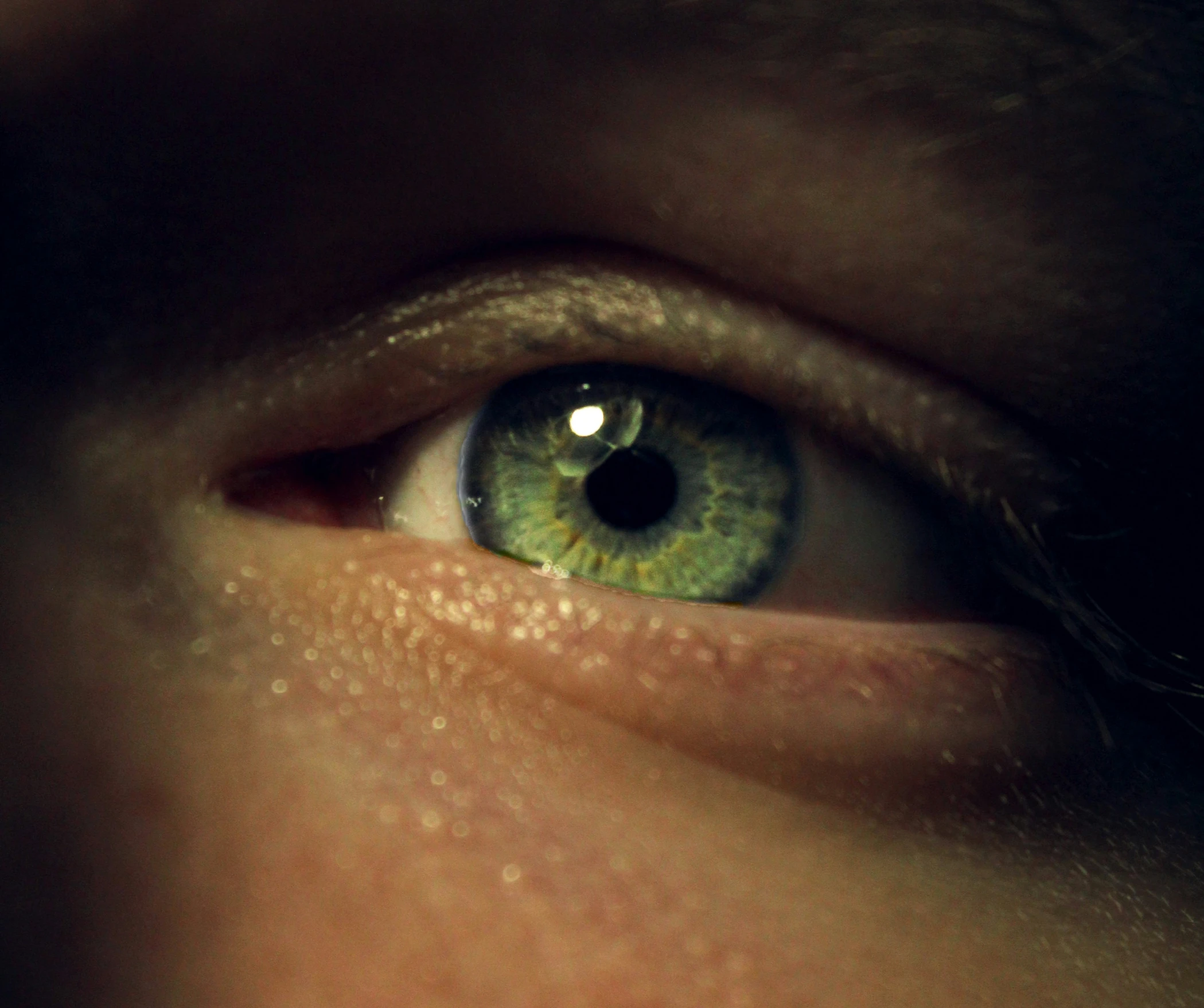 the eye of a person with a green center