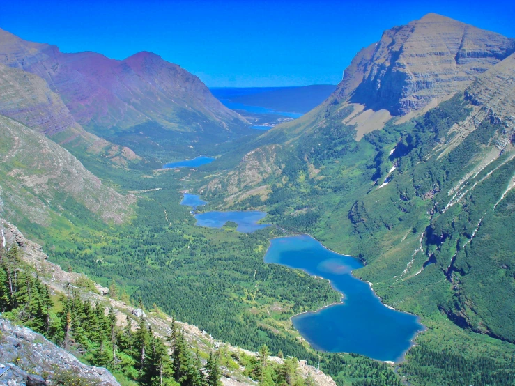 a valley with lots of water, trees and a mountain side