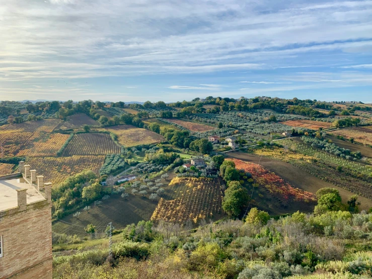 a view of a mountainous field that has trees