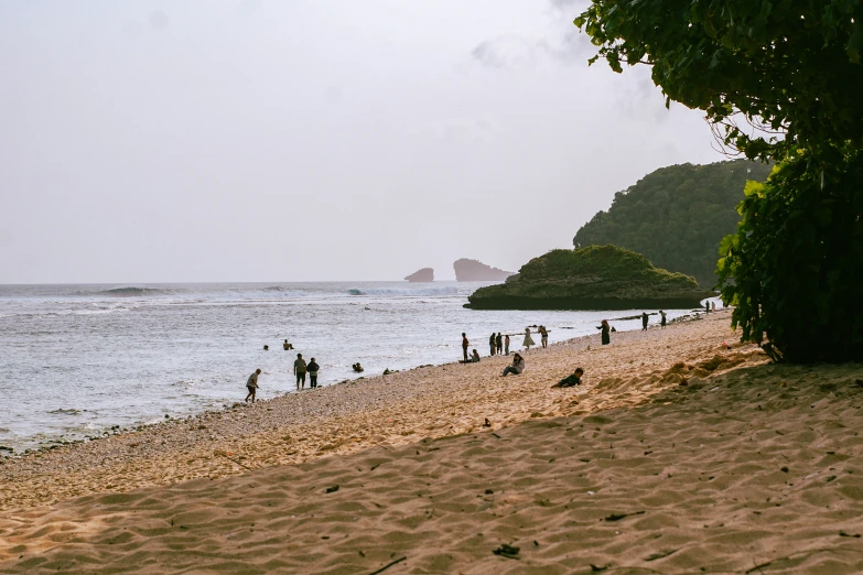 people enjoying a day on the beach