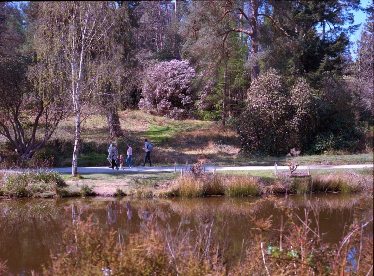 a person riding a horse through a park near the water