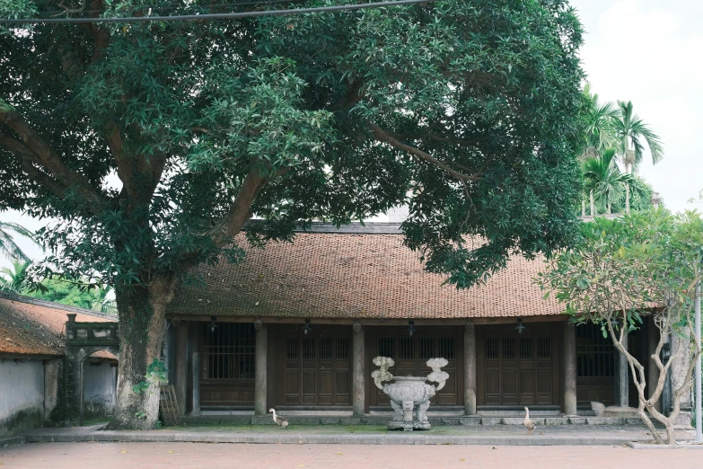 there is an image of a house in the daytime