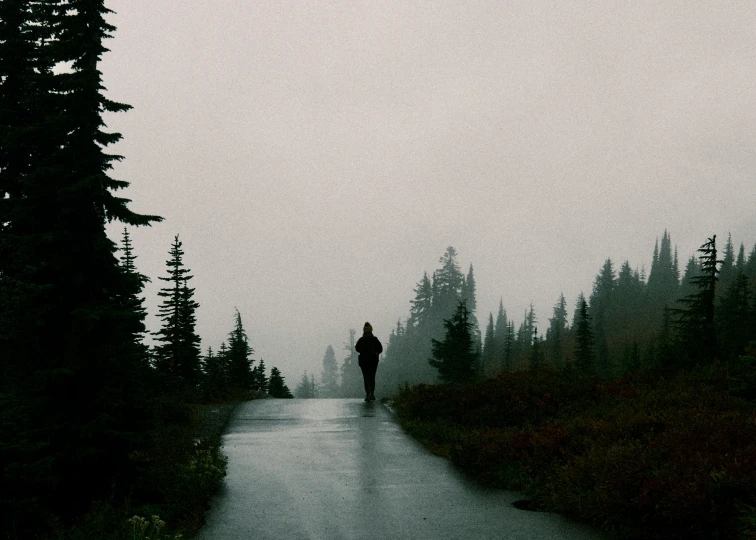 a person walks on a path in the middle of a forest