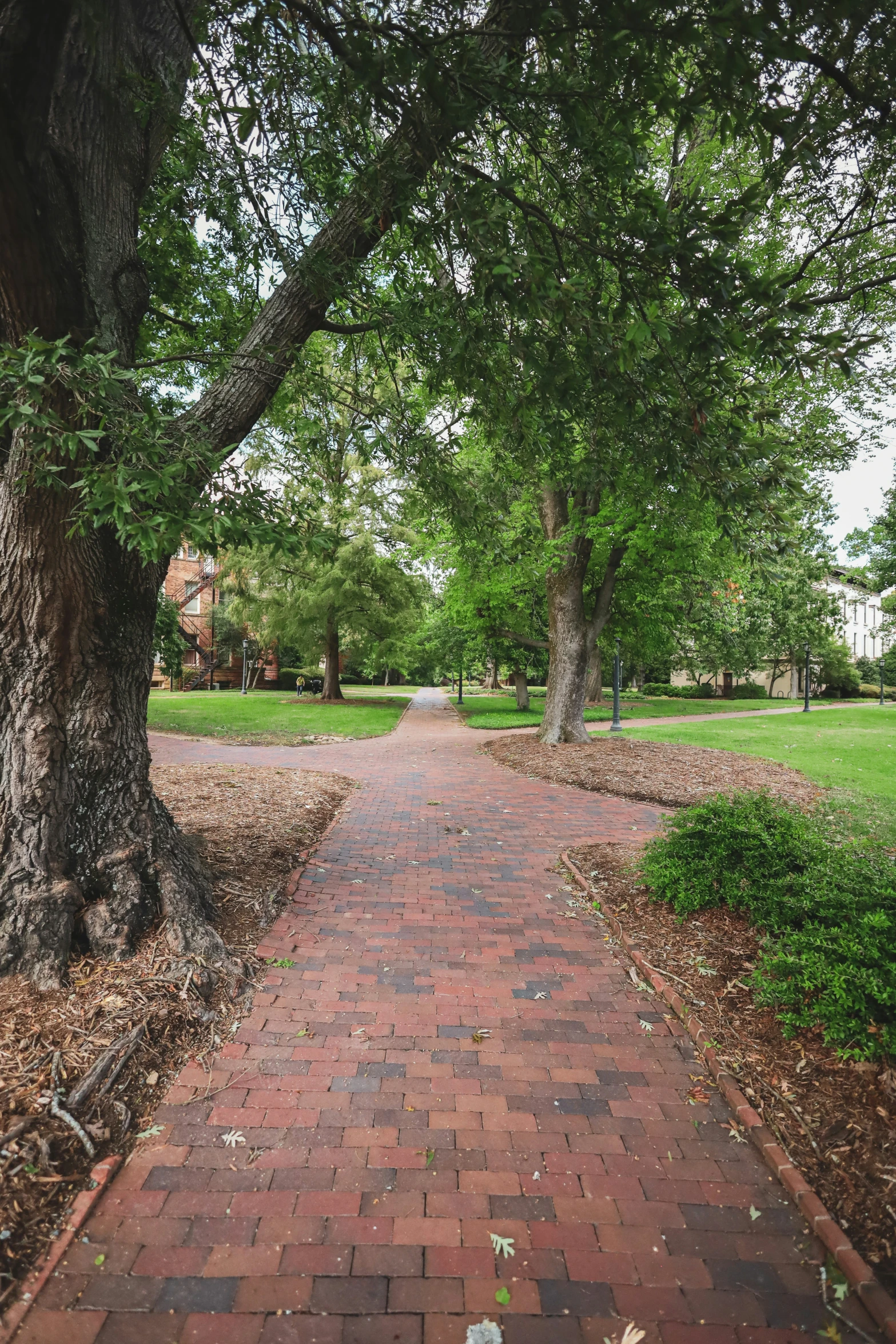 a paved path through a grass and trees with a fire hydrant on the side