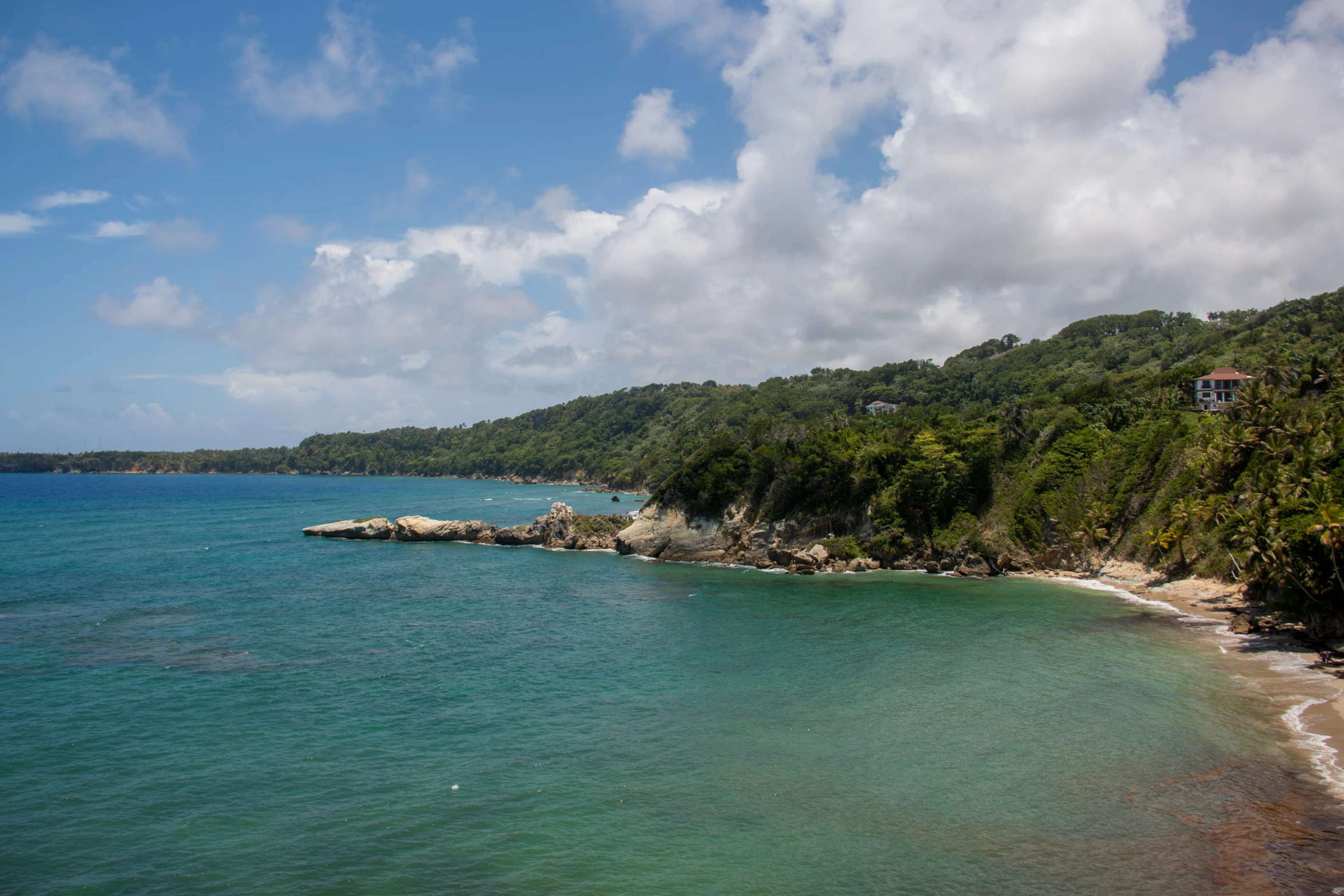 an island with trees and water, surrounded by blue waters