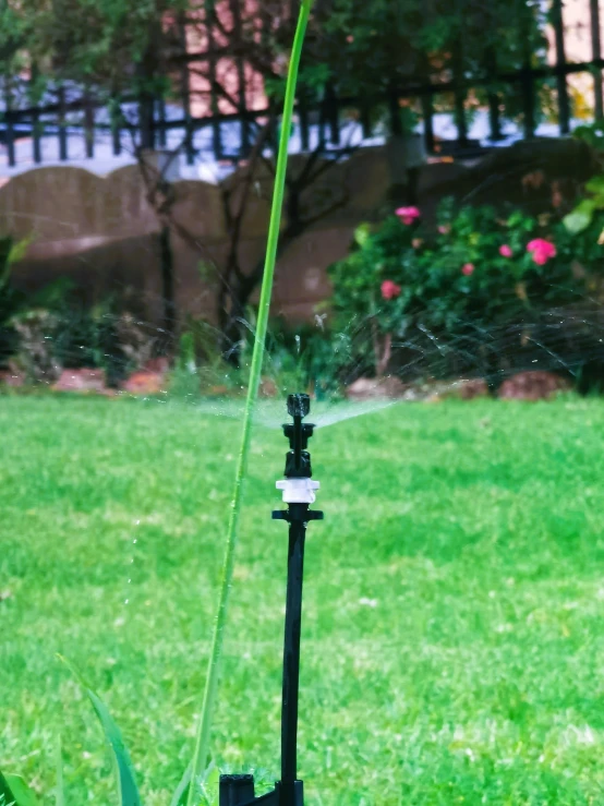 a green grass covered yard with a sprinkler