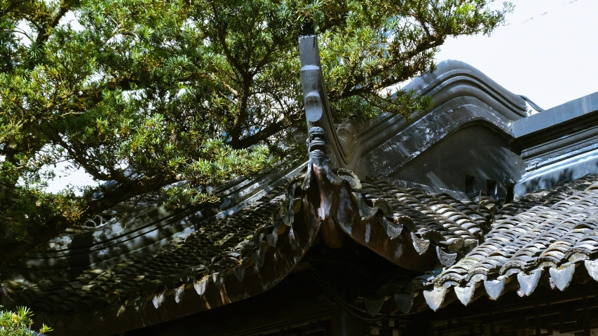 a stone roof with a black bird perched on it