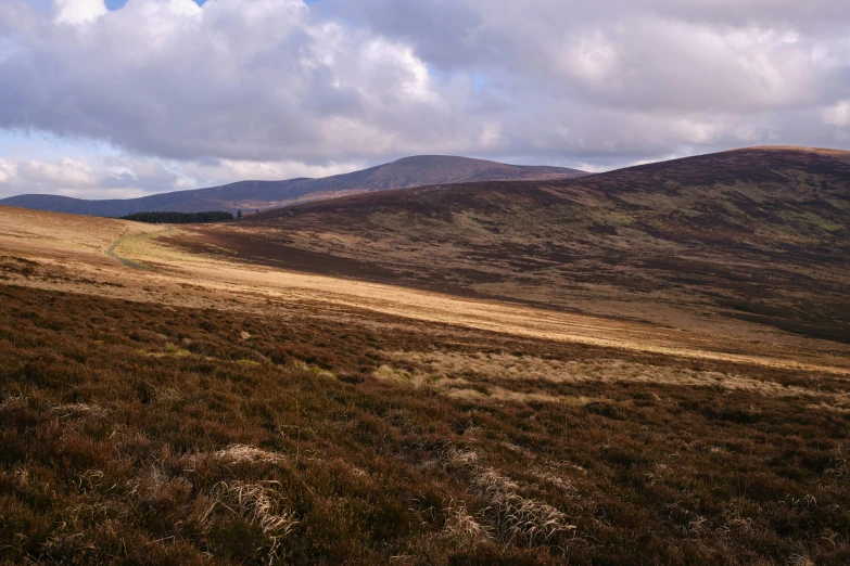 a field with hills and grass in the background