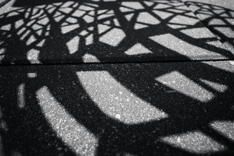 shadows on pavement that shows leaves and nches