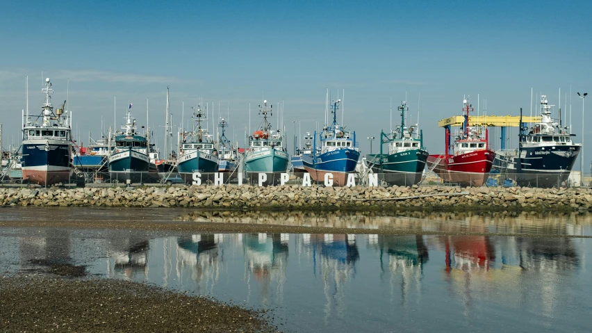 a marina that has lots of boats in it