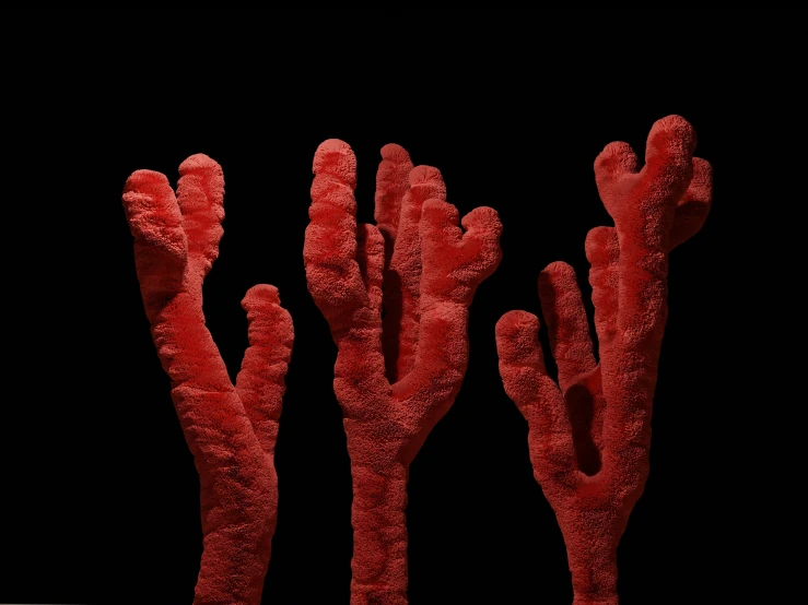 a large group of red plant stems on a black background