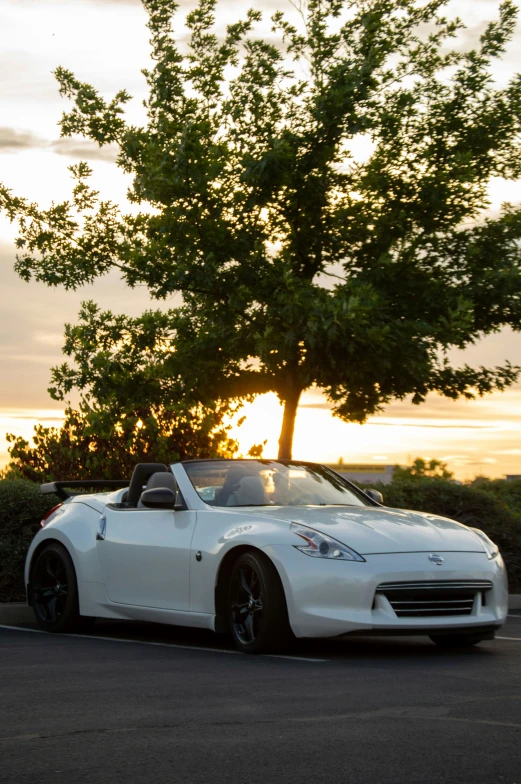 white car parked in front of a tree with the sun setting in the background