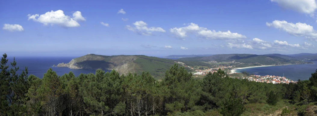 the ocean is visible from a distance near the forested hillside