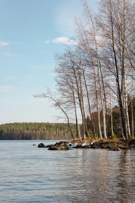 a boat on a lake near lots of trees