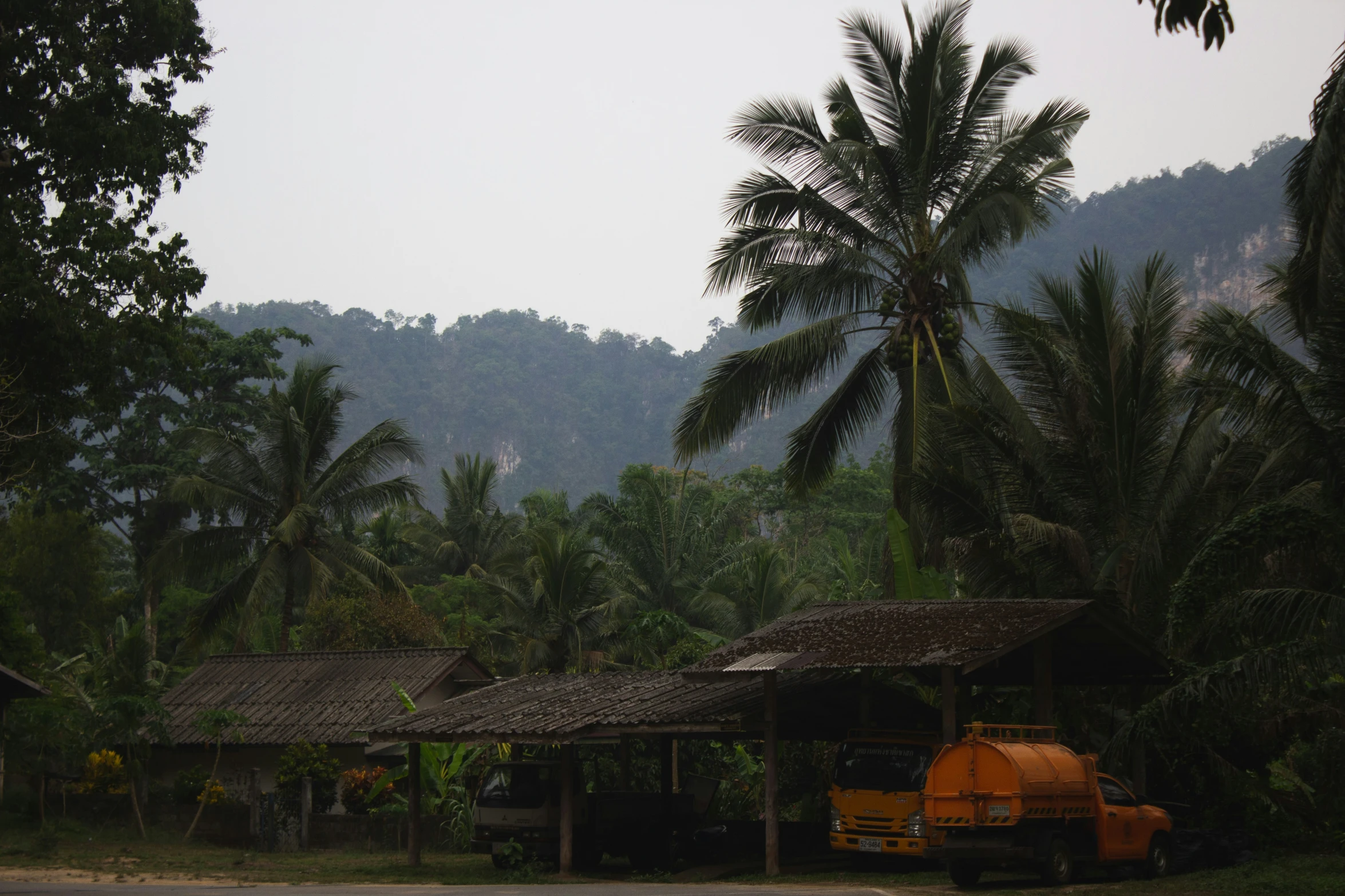 an orange truck sitting in front of some green trees