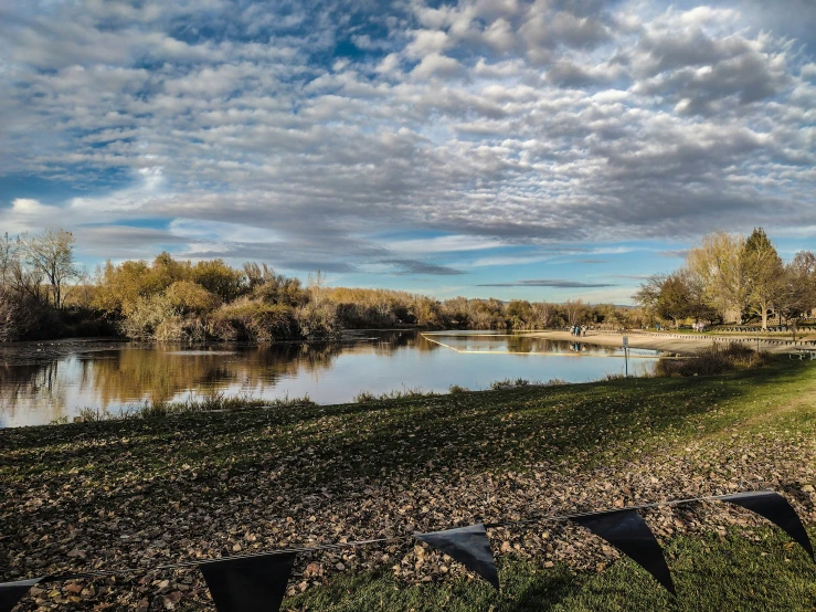 some ducks floating in the water at the edge of a river