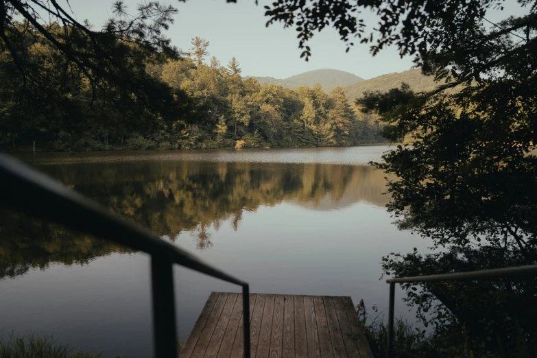 a wooden dock sitting in front of a lake surrounded by lush green trees