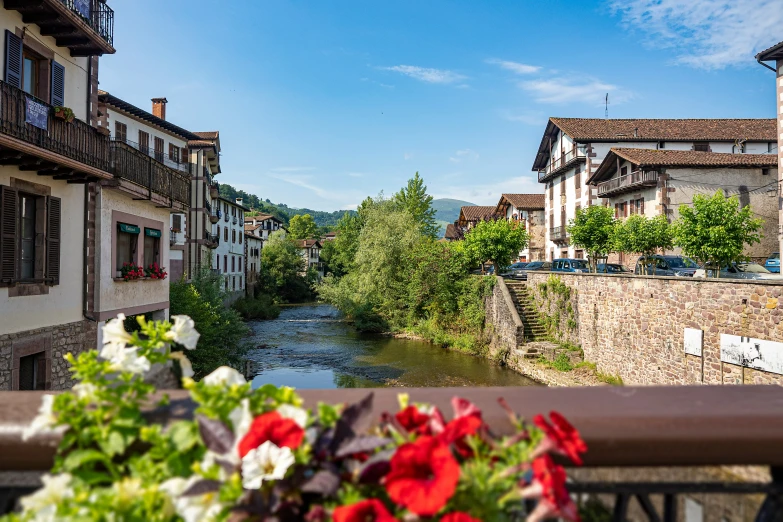 the river runs through this town and the flowers grow beside the buildings