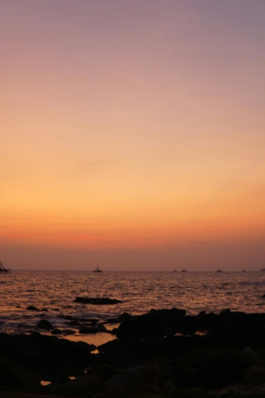 birds are sitting on rocks and flying away from the sunset