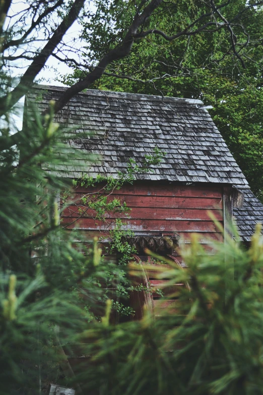 red barn with vegetation growing in front of it