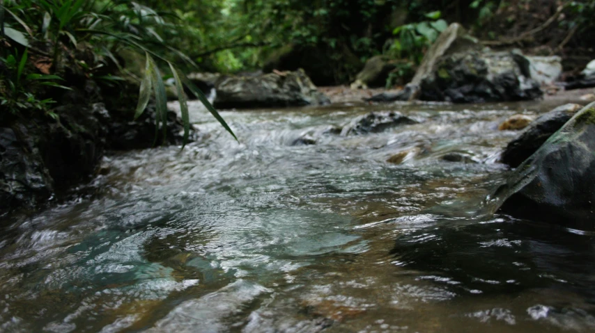 some rocks and water near some trees