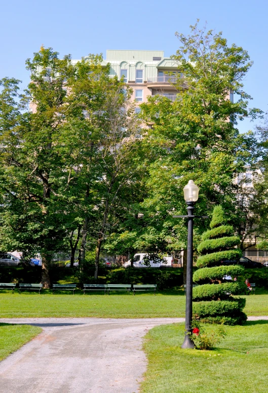 an image of a sidewalk in a park