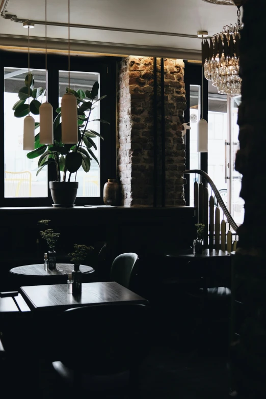 a tall plant is hanging in the corner of a dining room