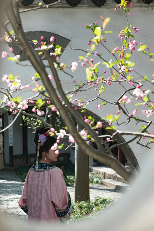 woman in kimono looking through window at flower tree