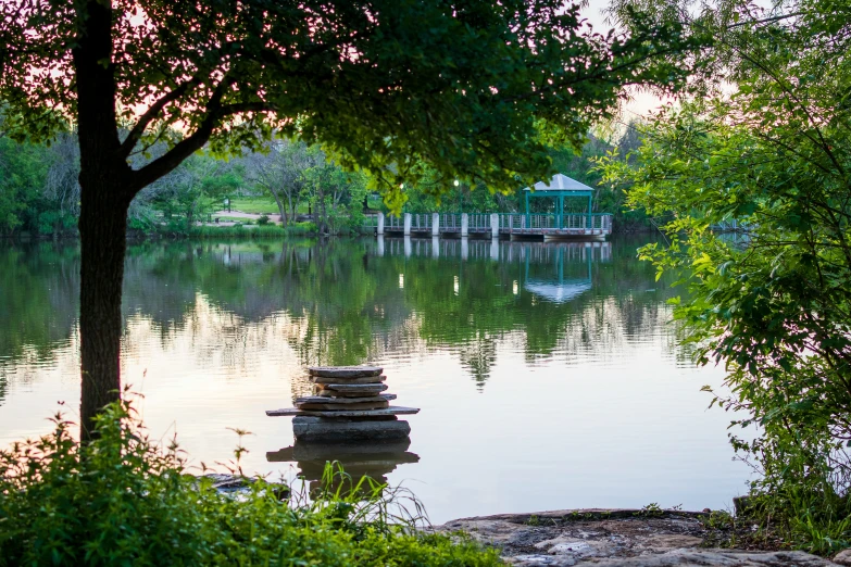 this is a picture of a body of water with trees around it