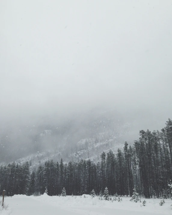 there is snow covered mountains and trees at the bottom