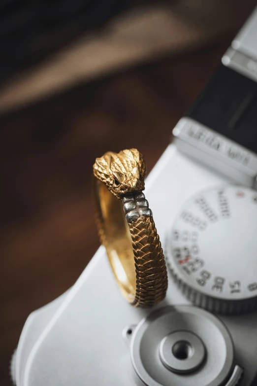 an elaborate ring with a gold leaf is attached to a camera