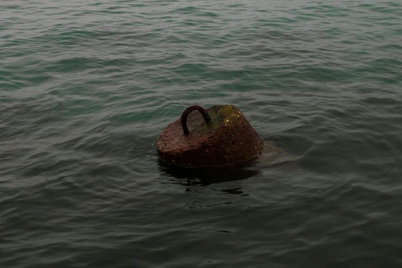 a rusty looking container floating on top of a large body of water