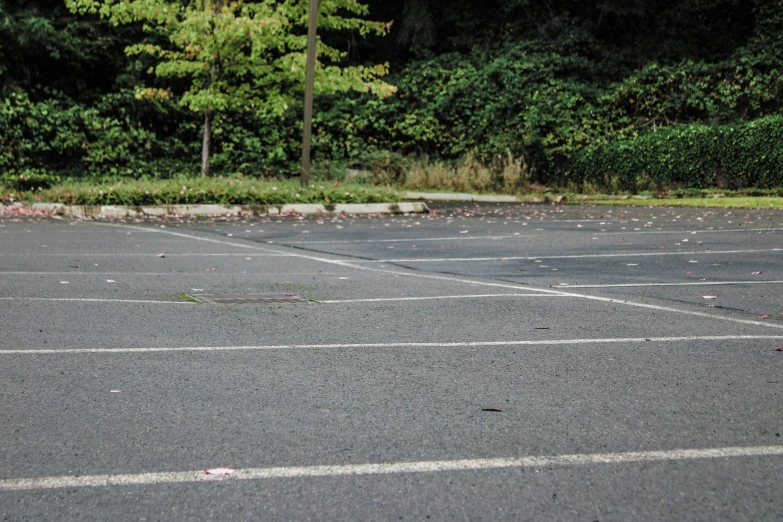 empty parking area with leaves on the ground