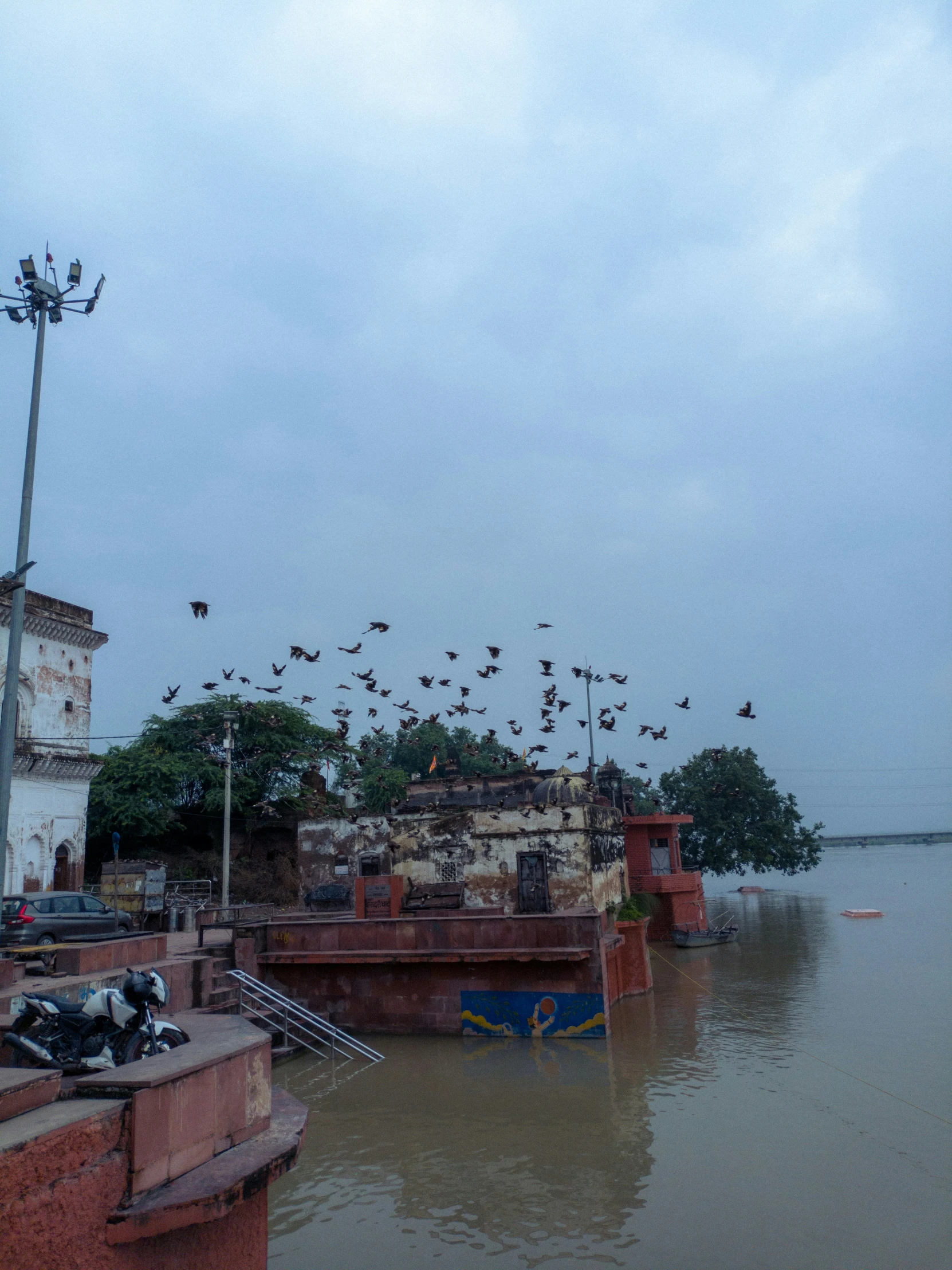 a bunch of birds are flying in the sky over a lake