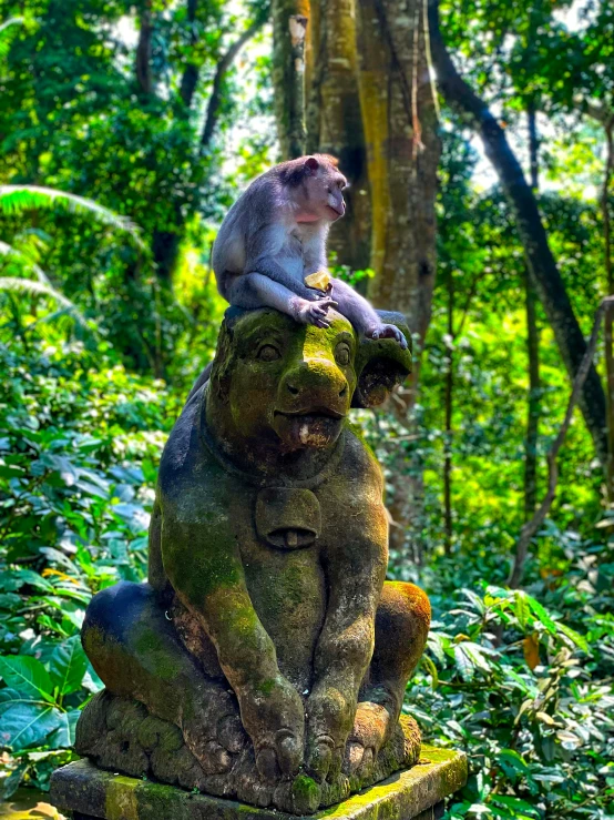 a monkey and baby are perched on top of a statue