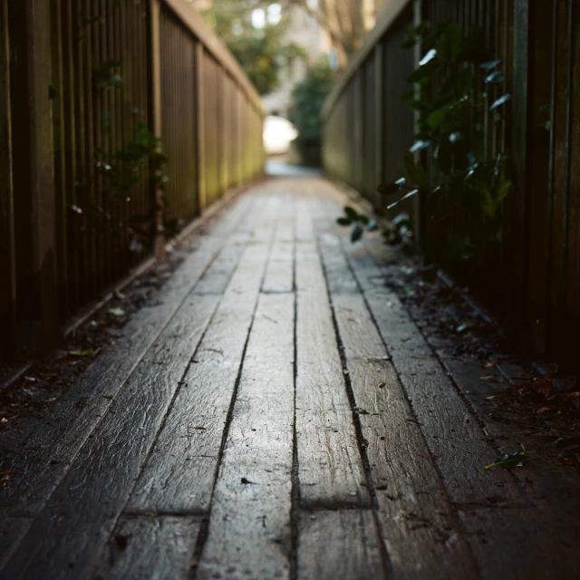 a road and a fence leading to a tree