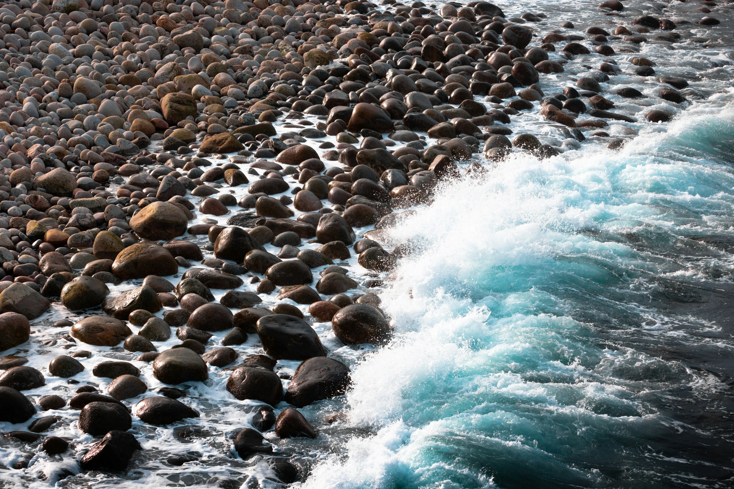 rocks covered with seaweed and a large wave crashing to shore