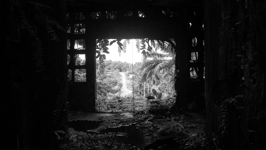 an open doorway into a jungle with lots of leaves